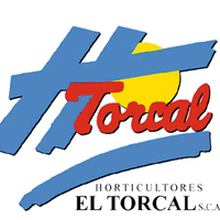 Torcal